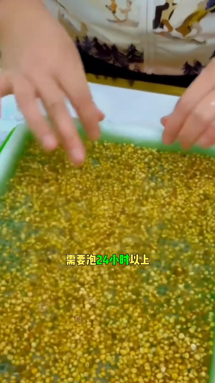 一个视频教会您种植所有芽苗菜