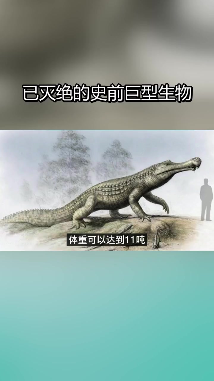 史前巨兽盘点:泰坦蟒与邓氏鱼的灭绝之谜