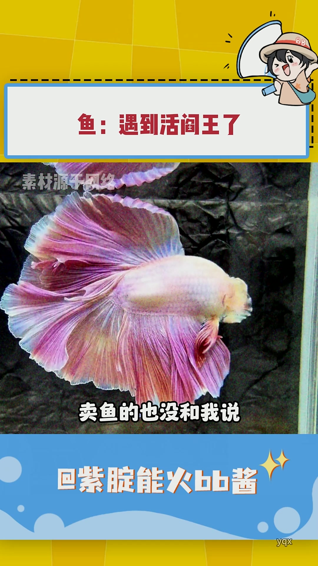 斗鱼:我遇到你们这些活阎王,鱼生真是够够的了!