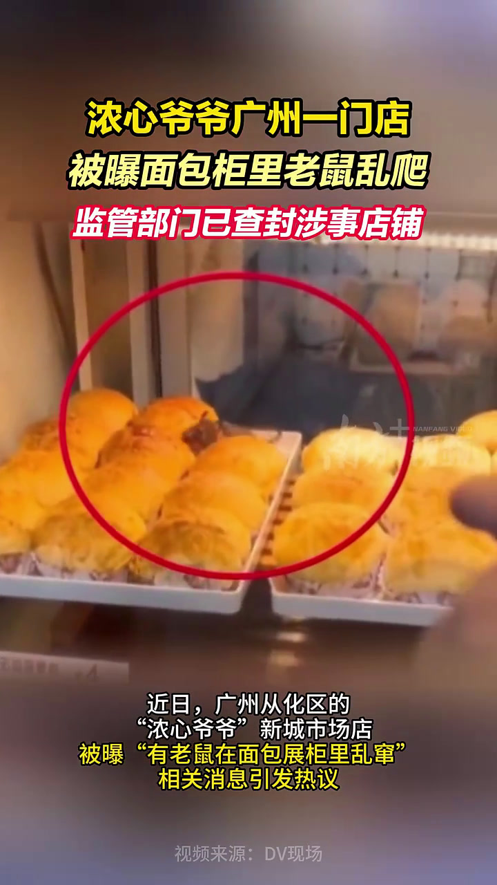 浓心爷爷一门店被曝面包柜里老鼠乱爬,监管部门已查封涉事店铺