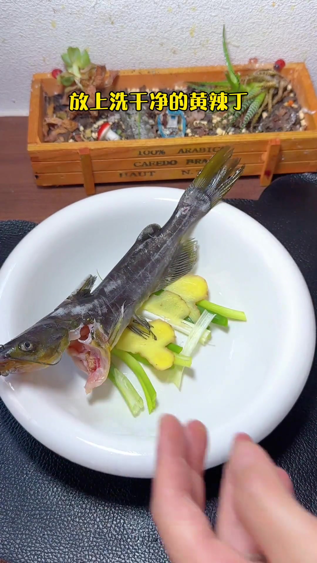 黄辣丁是很有营养的,给宝宝吃除了熬汤还能用来清蒸,肉嫩刺少,特别好吃