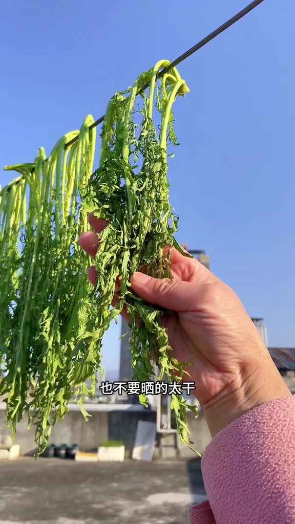 不加一滴水也能做出又酸又脆的雪里蕻酸菜,放一年都不会坏!腌酸菜雪里蕻家乡的味道