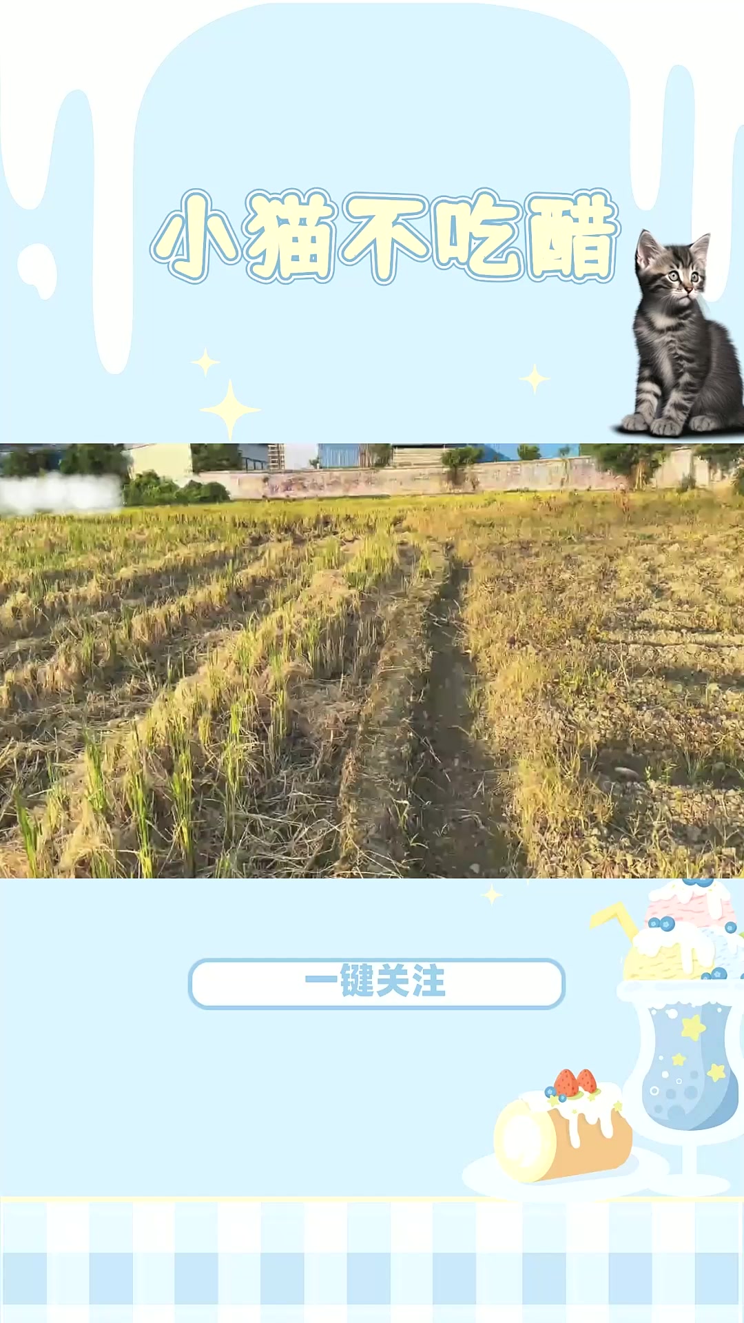 狗狗救回家一只小鸭子,小鸭子竟然把狗狗当成了妈妈,好暖心!