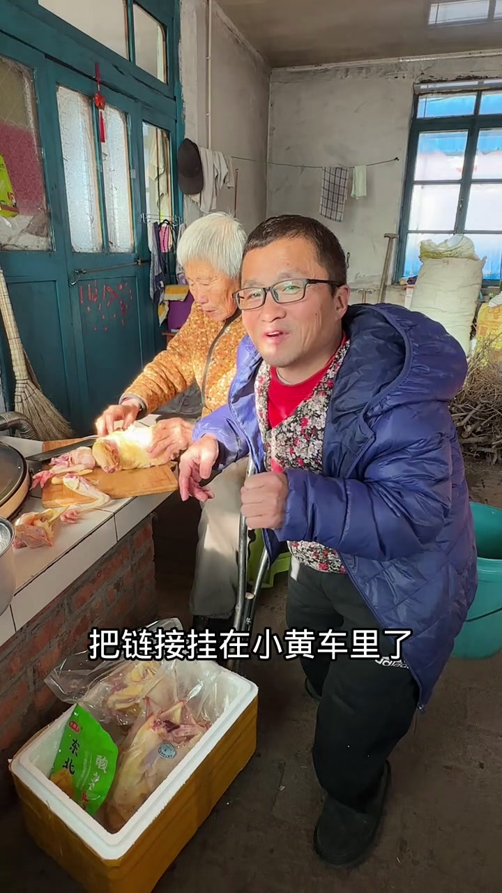 东北林地散养溜达小笨鸡 记录真实的生活