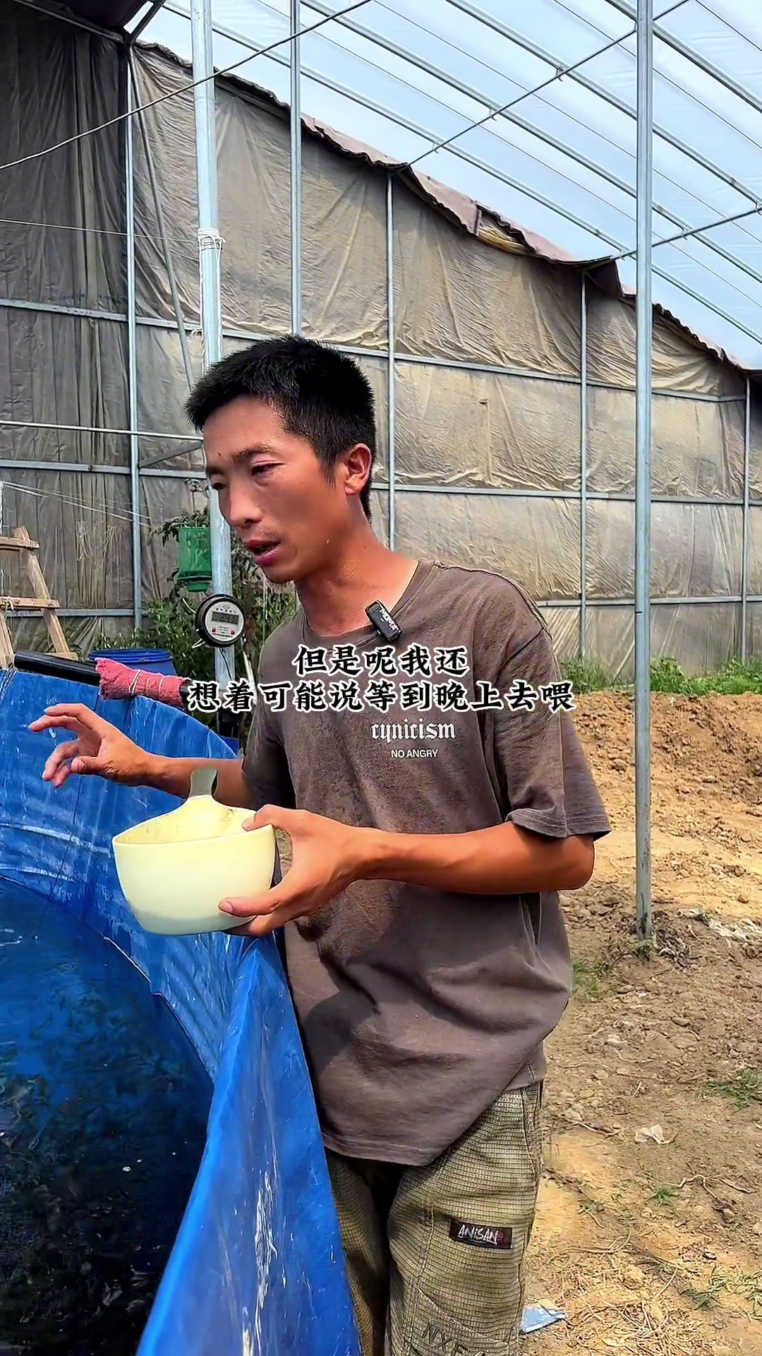 水产人 水产养殖技术 加州鲈鱼苗 鲈鱼苗 鲈鱼