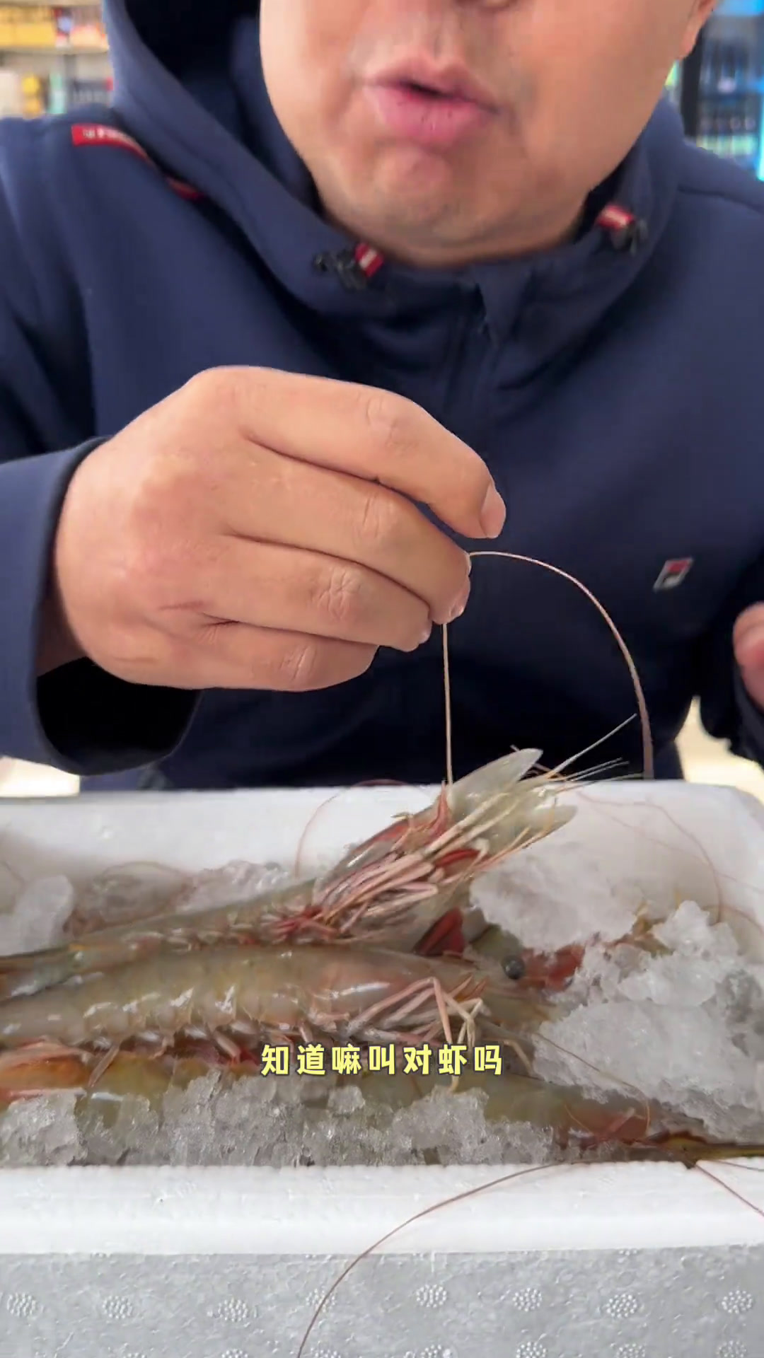 渤海湾对虾大虾期待大菜吧!