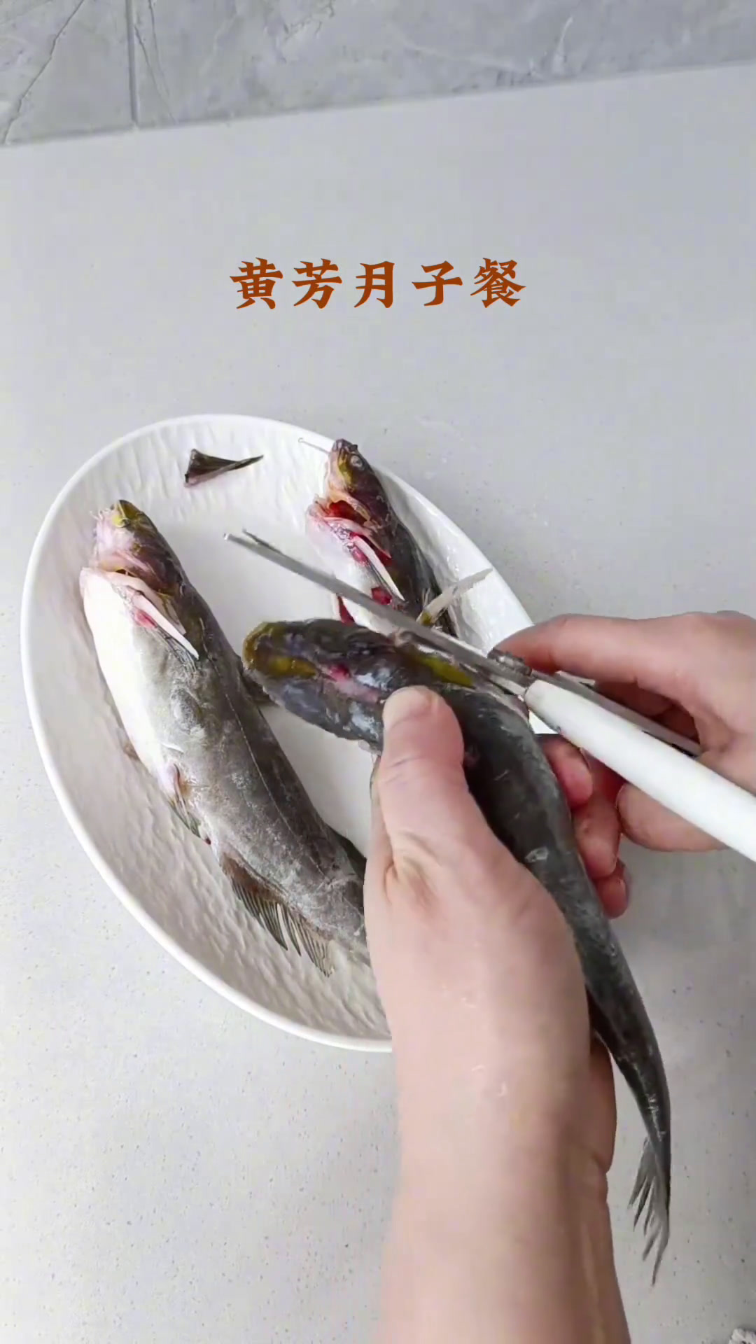 清蒸黄辣丁,肉质鲜嫩,营养丰富做法还简单!