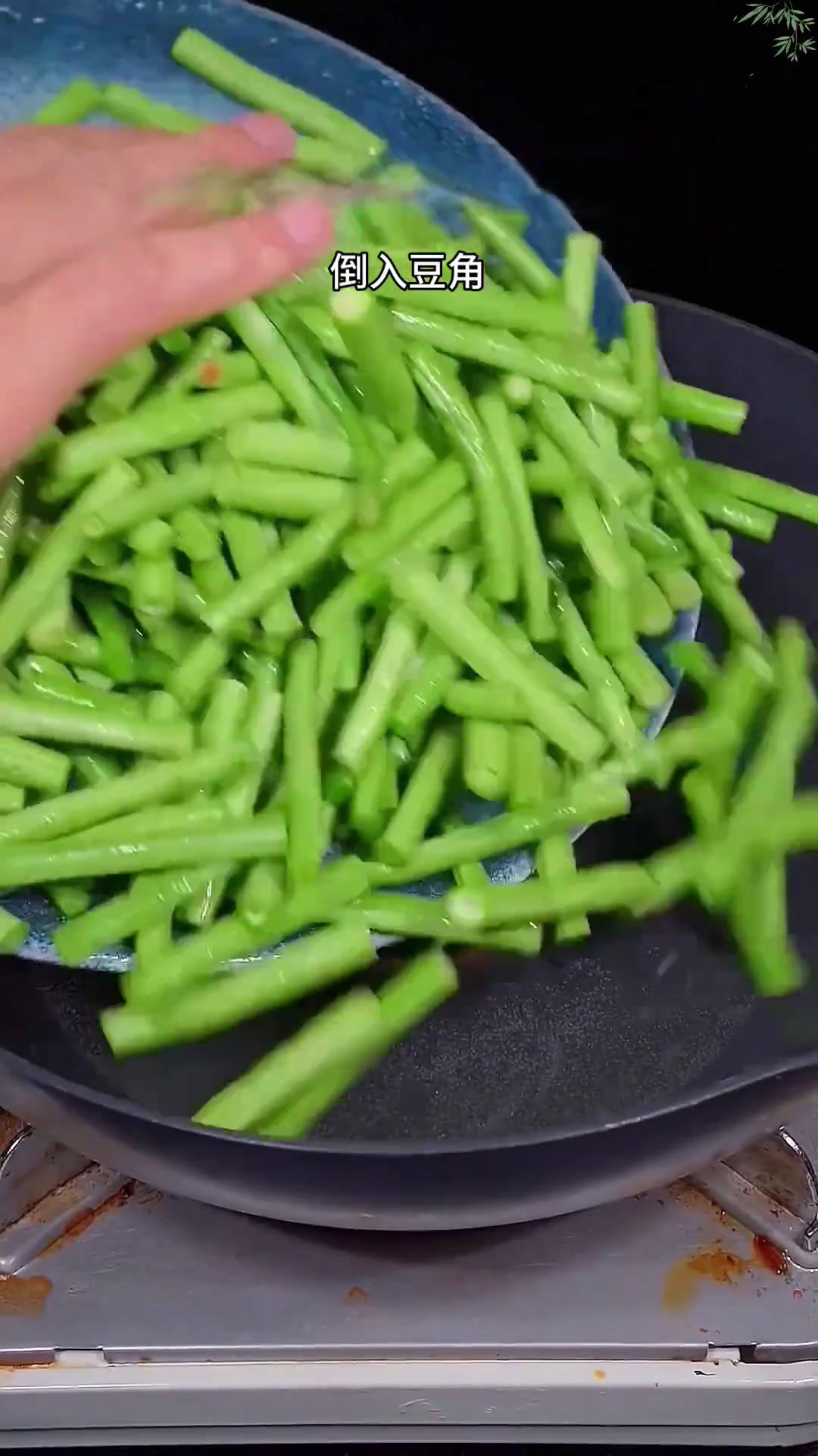 一周不重样的十道家庭小炒最后一道价值百万家常菜