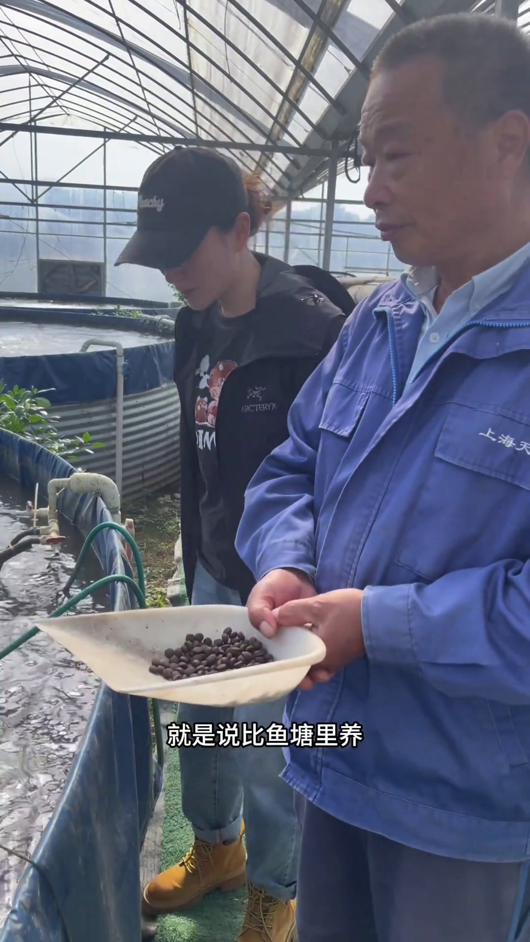 大棚里养鱼,你见过没?