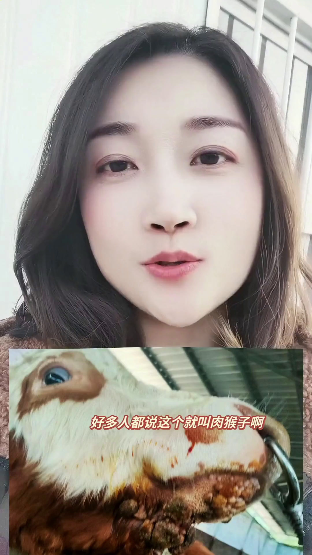 牛身上长肉猴子怎么办?