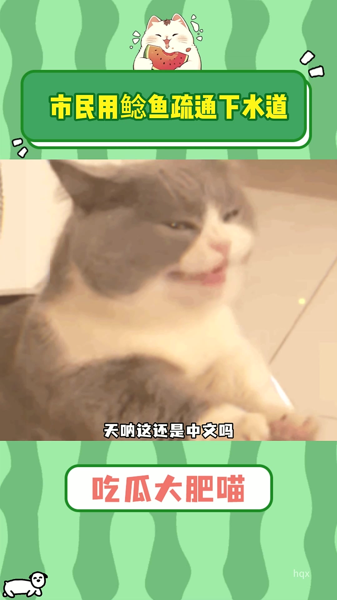 救命我超爱吃巴沙鱼的啊