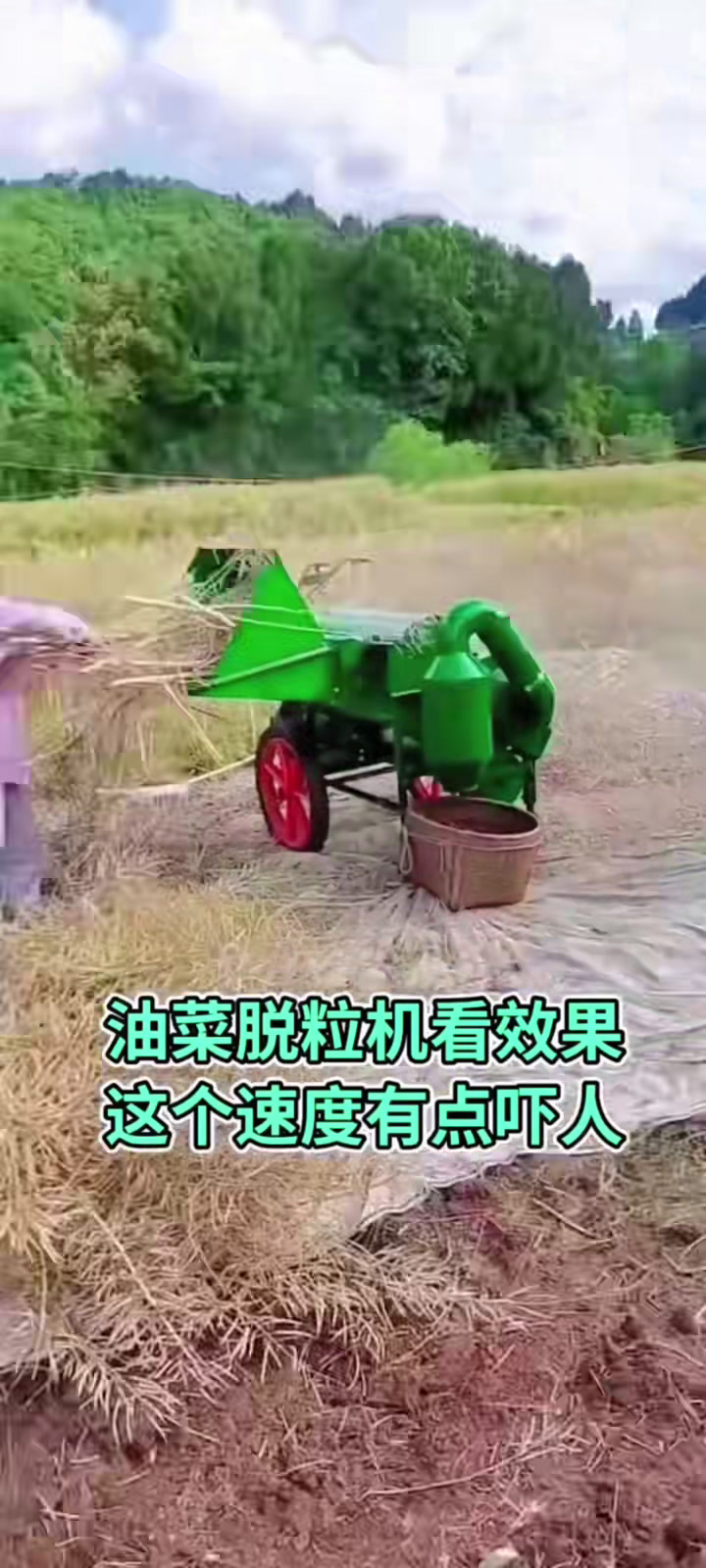 双滚筒油菜脱粒机,日收二十亩哦!
