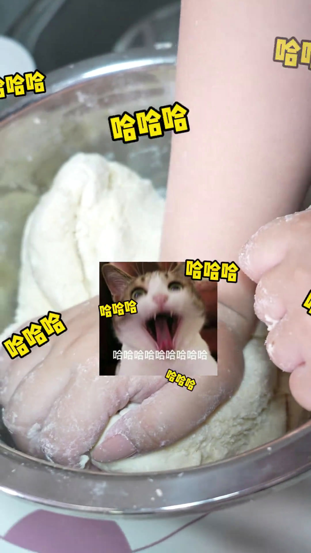 第一次尝试做馒头~虽然是室友做的但我觉得我会了自制馒头馒头面食炸厨房