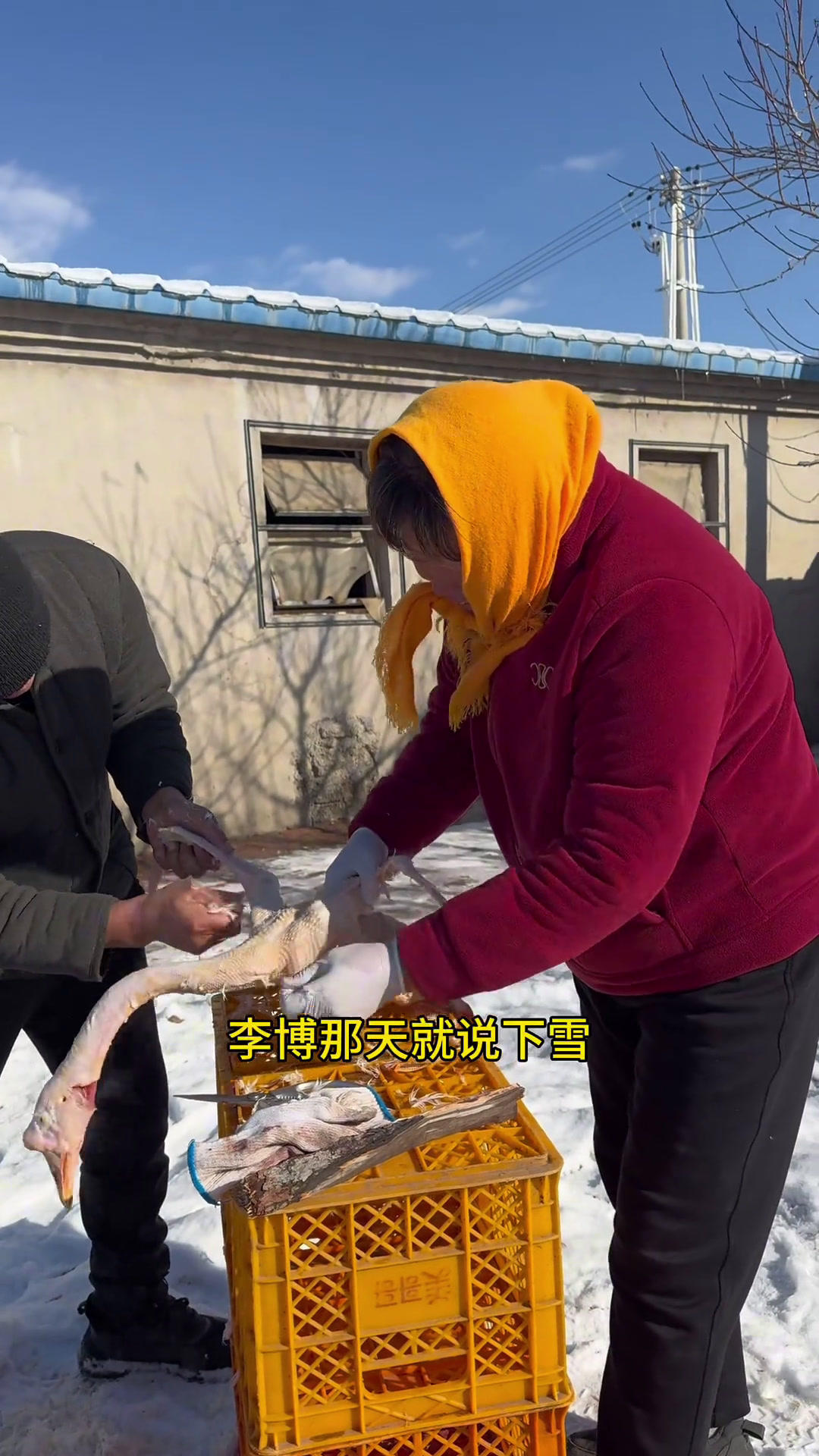 下雪炖大鹅下雪了,必须安排铁锅炖大鹅,放点土豆干和蘑菇嘎嘎香铁锅炖大鹅天冷了怎能少得了铁锅