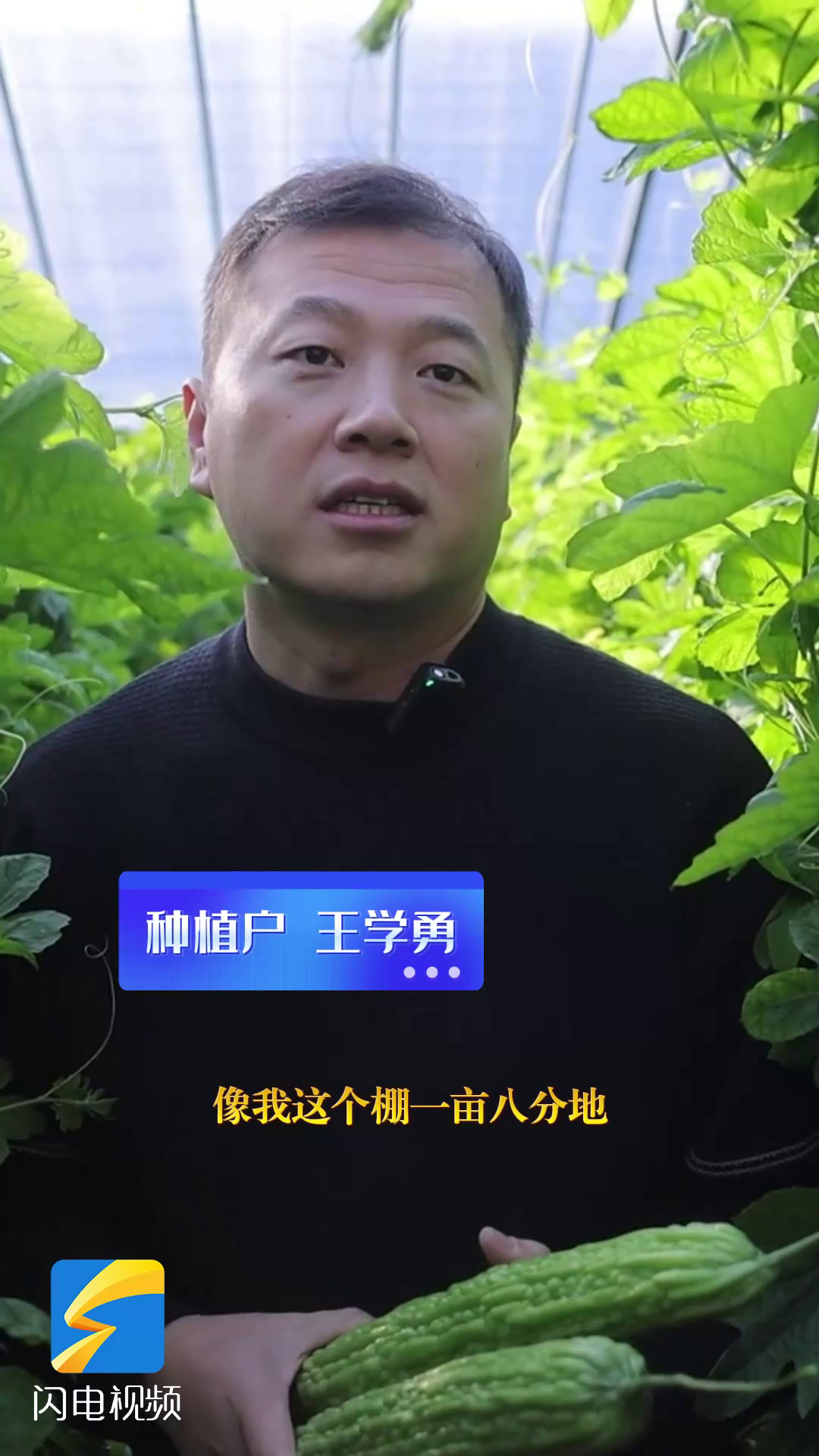 潍坊寿光:托稳“菜篮子” 保障市民餐桌丰富无忧