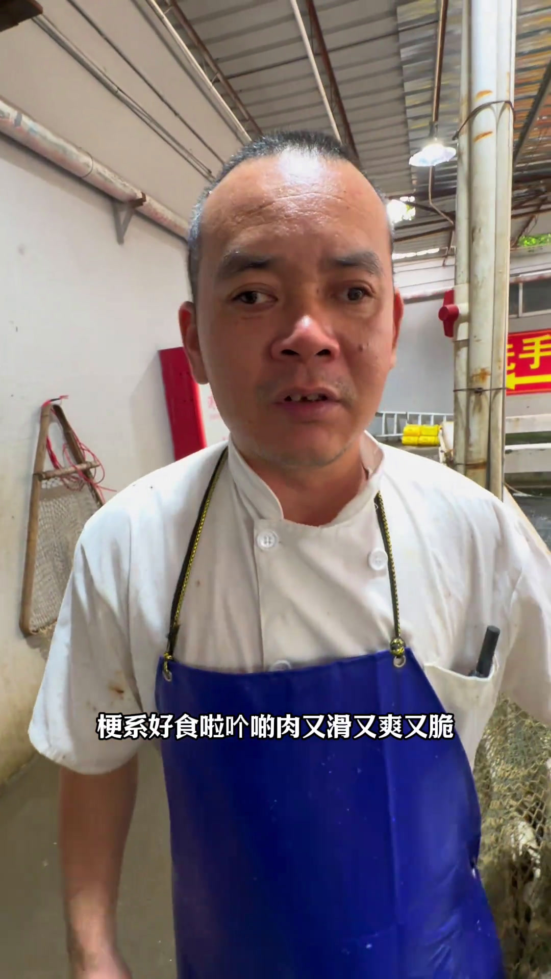 中山瘦身吊水脆肉鲩中山瘦身吊水脆肉鲩,瘦身鱼,吊水鱼,泉水鱼我地都试过好多啦。原来中山脆肉