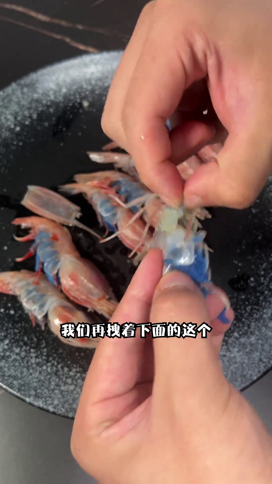 这也太漂亮了!竟然是蓝色的脑子?纵棱异腕虾