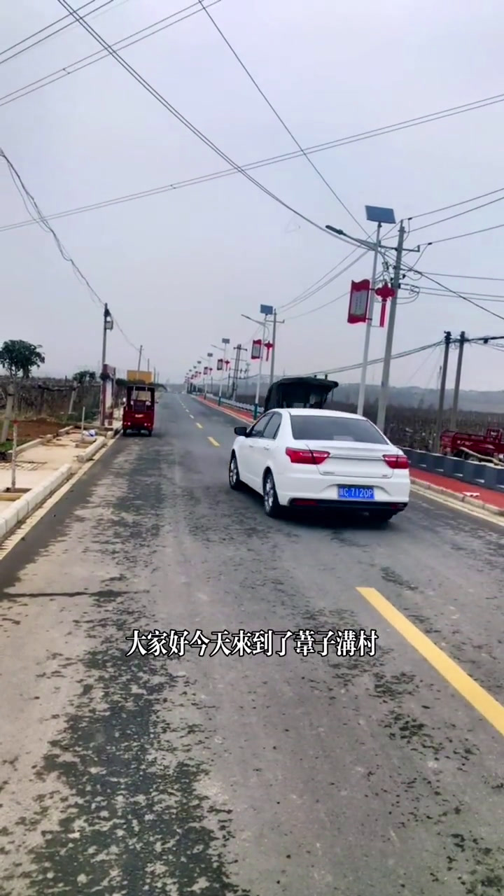 八鱼镇苇子沟村航拍春耕图,把紫葡萄种成了金豆豆的村庄