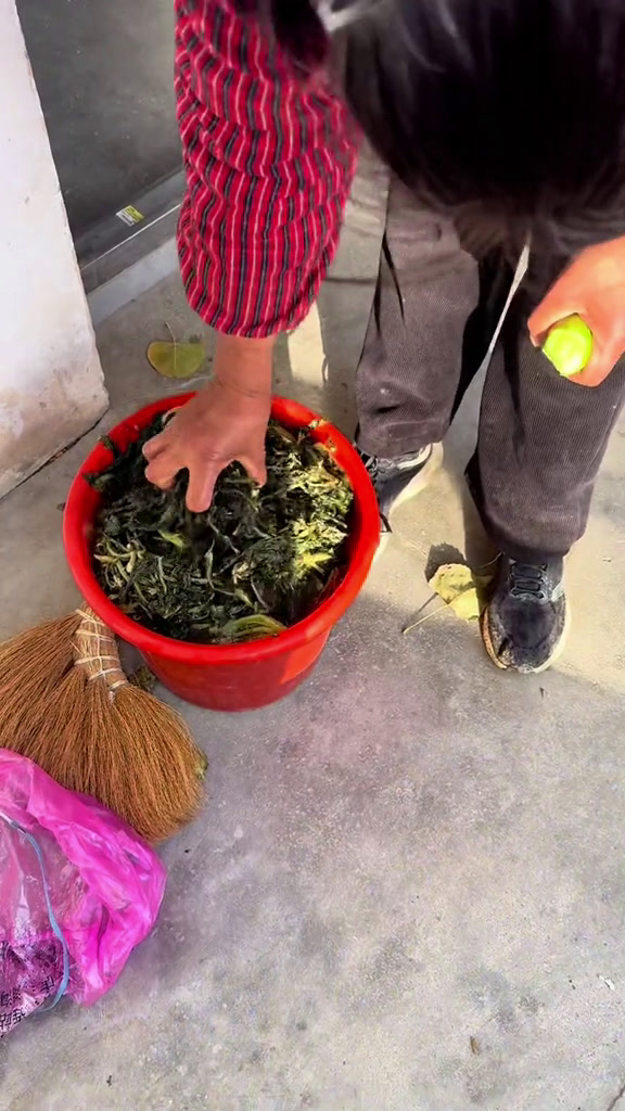 入冬天必备,腌咸菜你们那里都腌什么咸菜?日常分享入冬