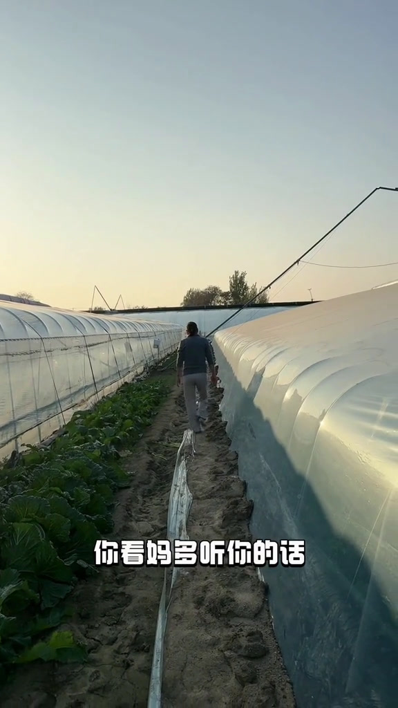 想吃菜饼子了,但没想到菜饼子不是一天就能做好的。意外收获在奶奶家吃了顿饺子。大家都在猜肚子