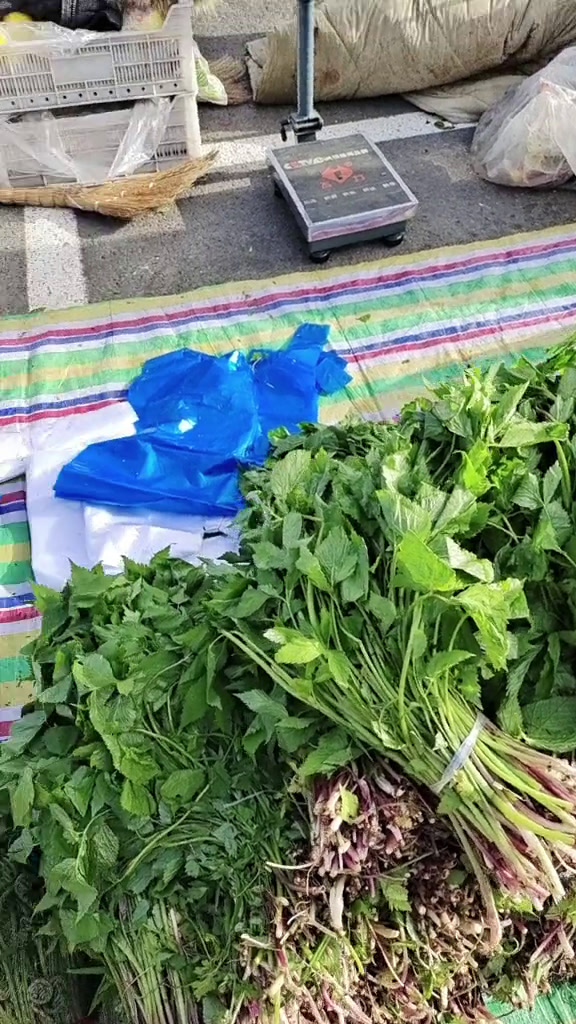 逛逛早市,山野菜有点过季都老了,我买了点辣妹子辣椒和杨梅