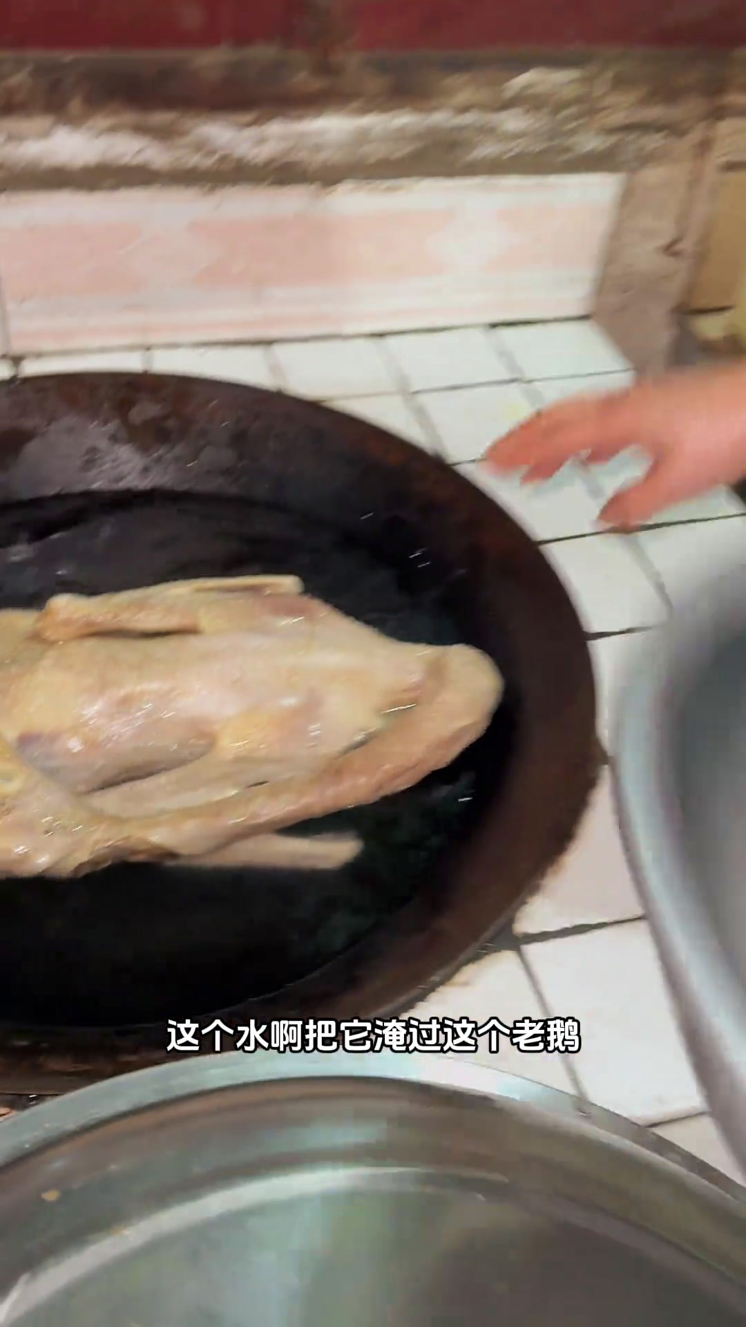 记录农村生活咸老鹅的传统做法!也太香了新农人计划谁家没点土特产咸货