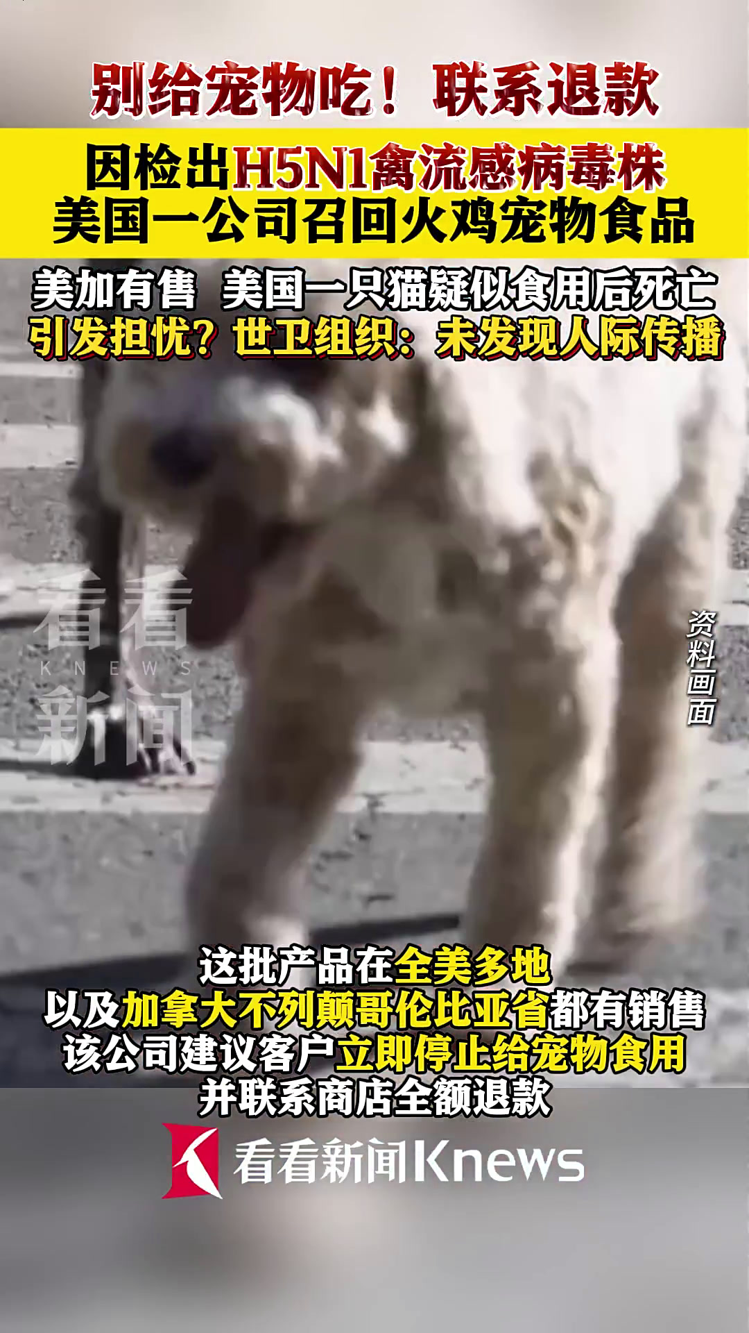 检出H5N1禽流感病毒株 美企召回火鸡宠物食品