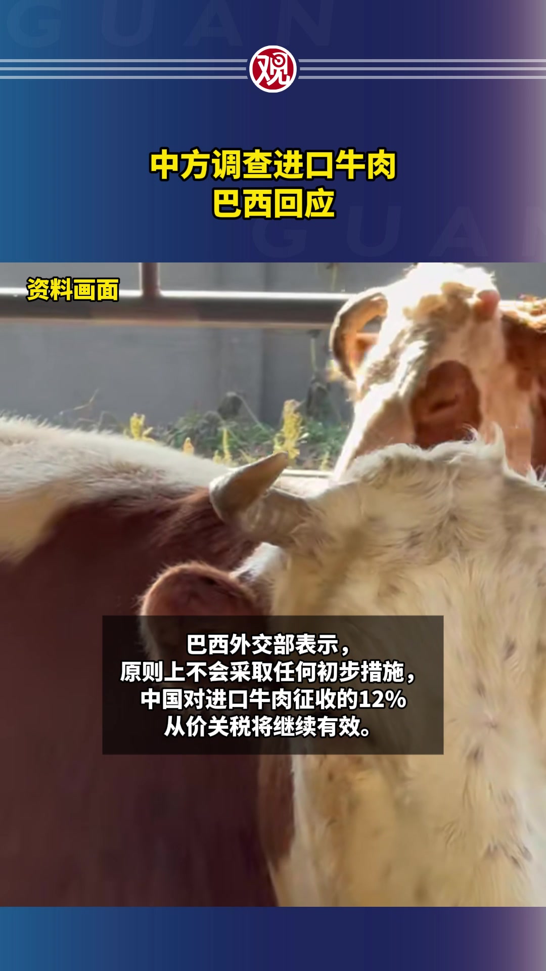 中方调查进口牛肉,巴西回应