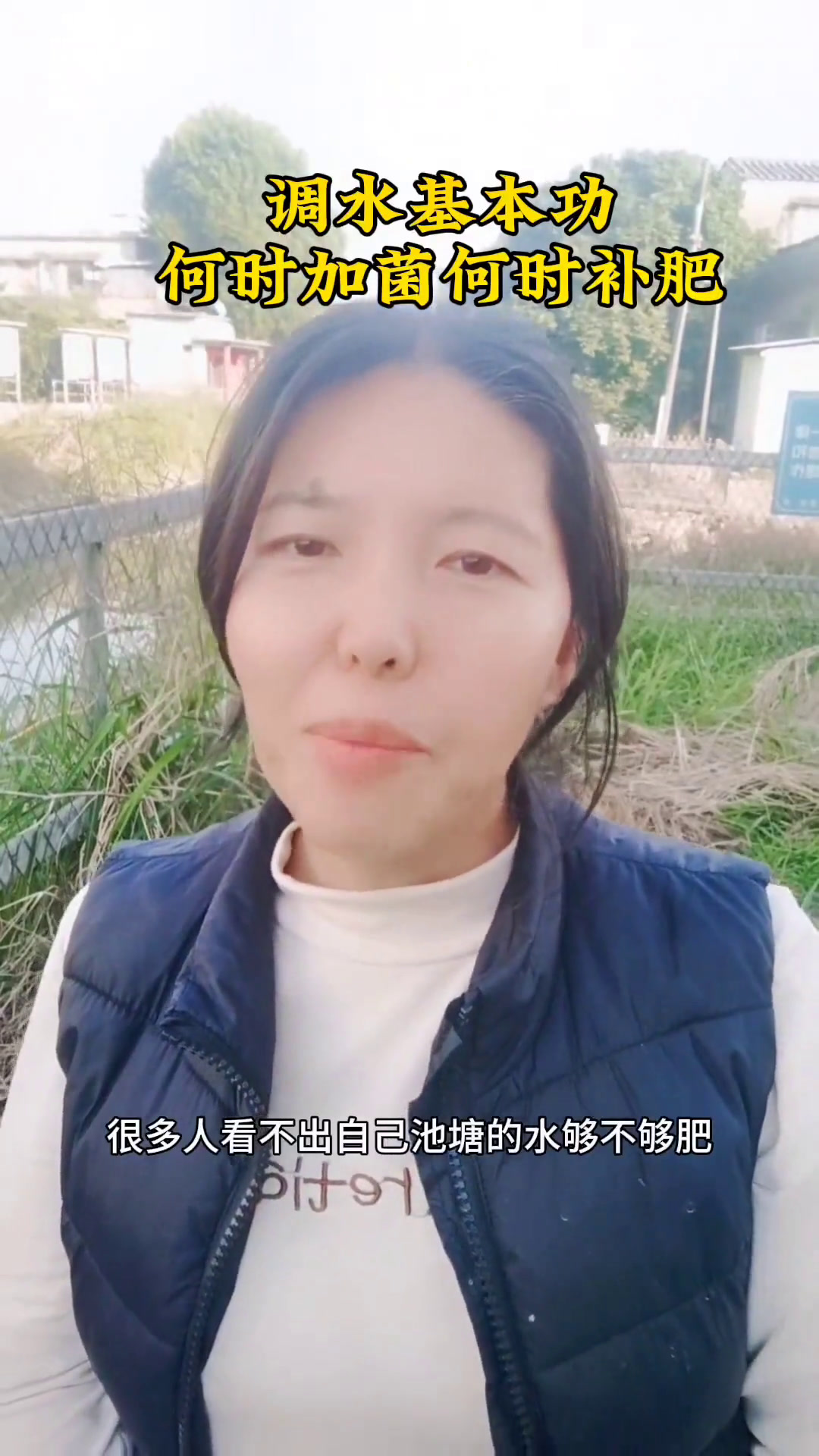 南美白对虾养殖技术,如何判断池塘的水够不够肥?养虾技术