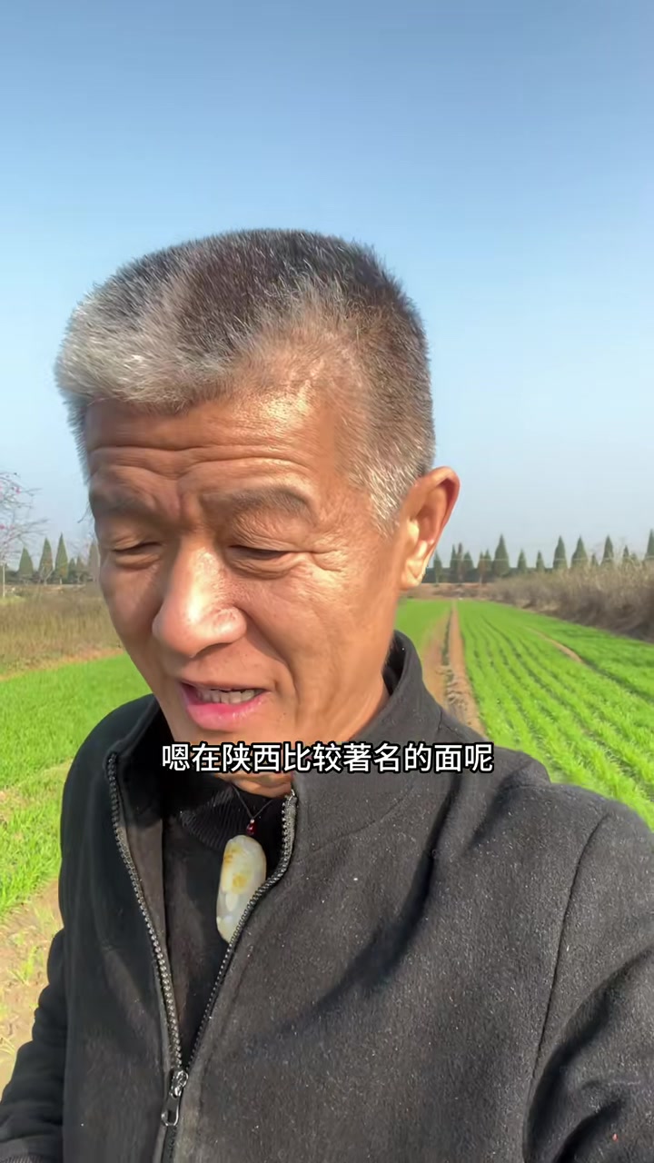 陕西面食甲天下!