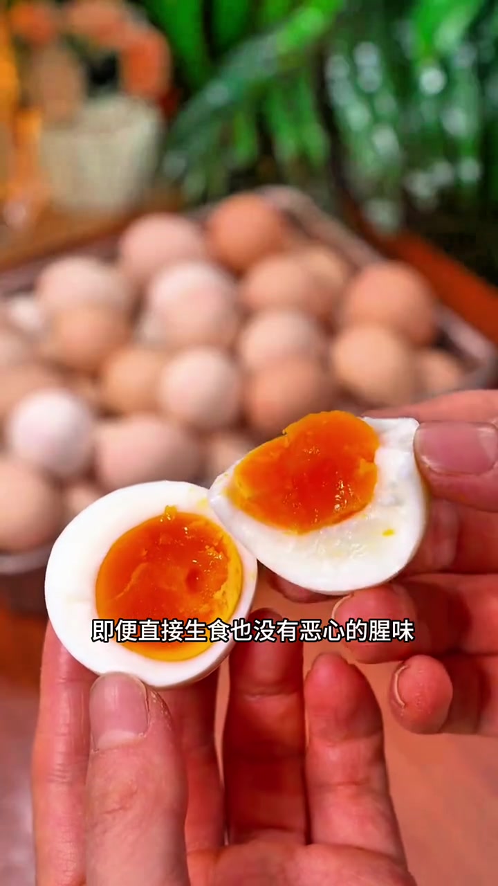 黑凤凰鸡的秘密:小伙如何用稻草创造财富传奇!