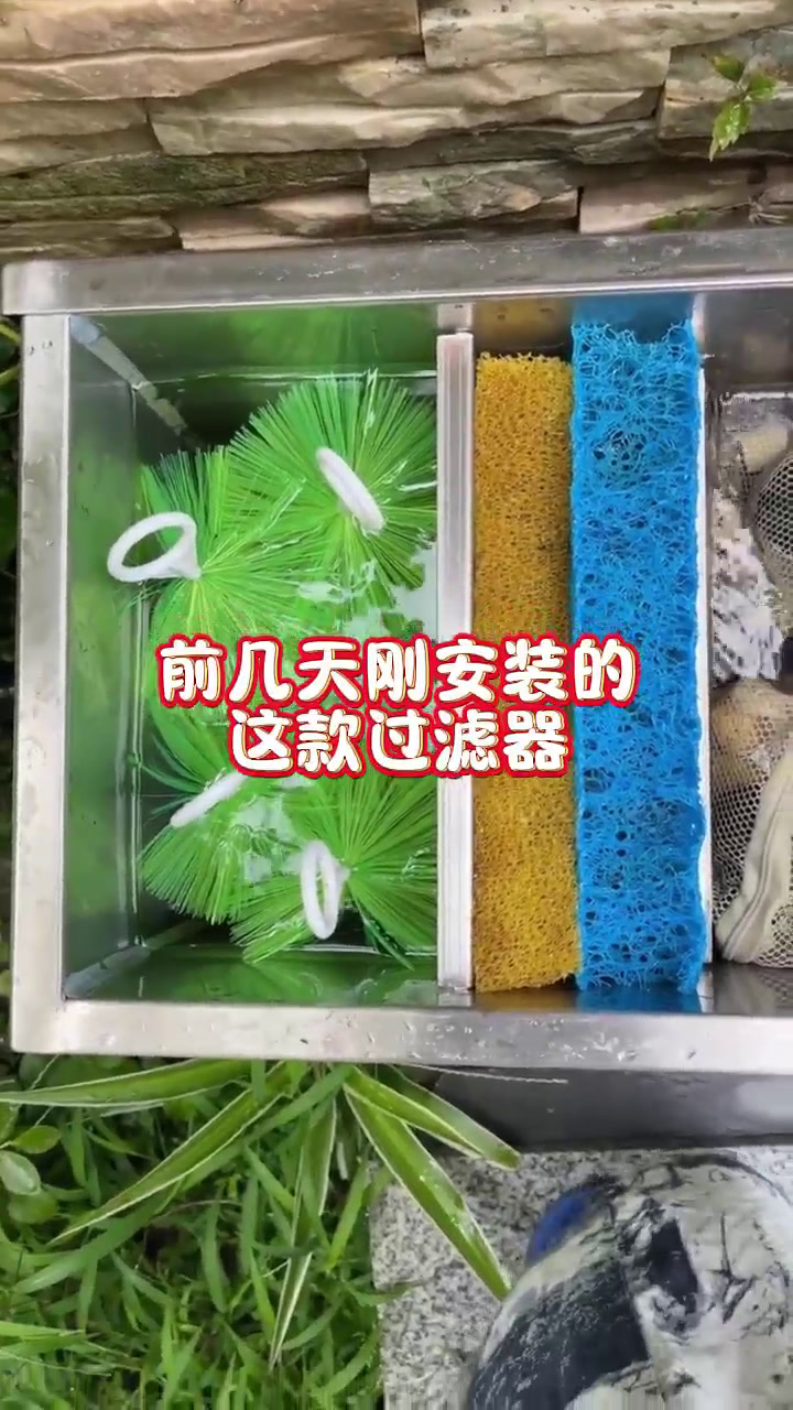 鱼池过滤器 鱼池过滤器 庭院鱼池 别墅鱼池