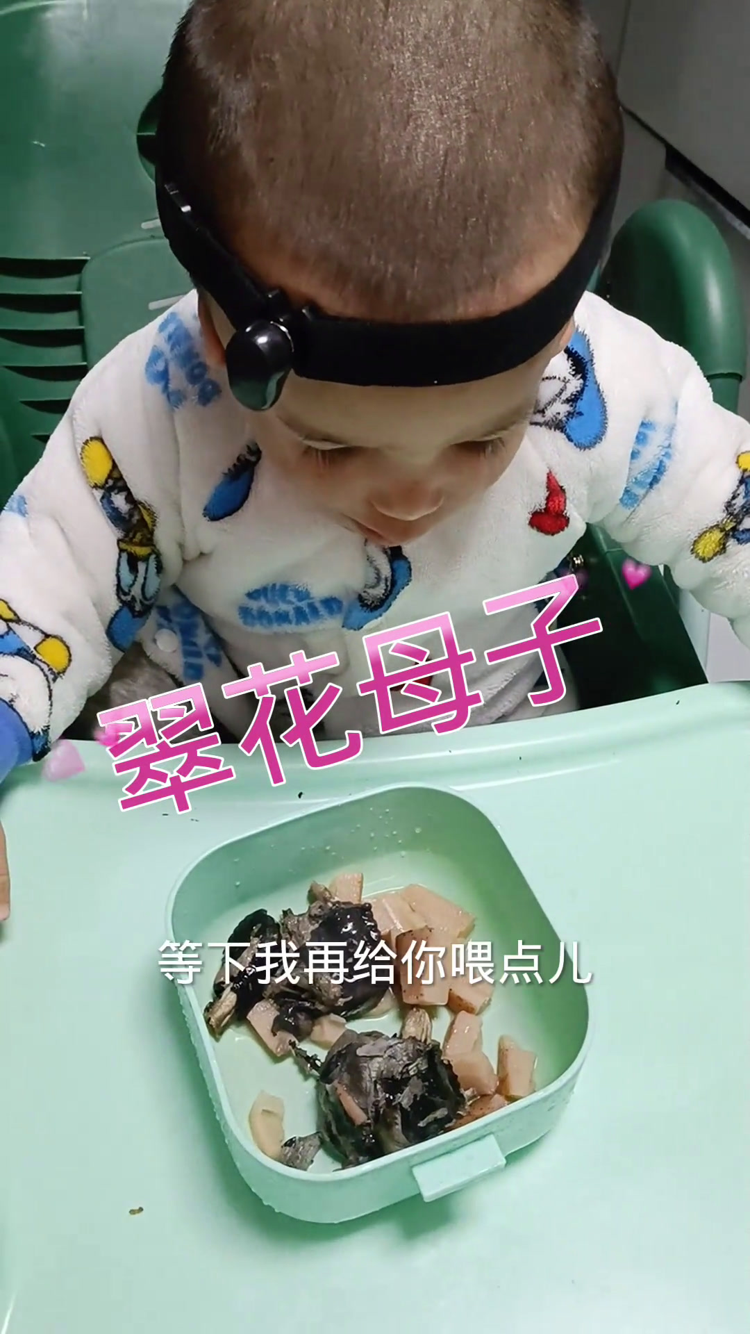 今天去赶集买了一个乌鸡莲藕给吉祥吃,这几天吉祥一支乌鸡能吃完