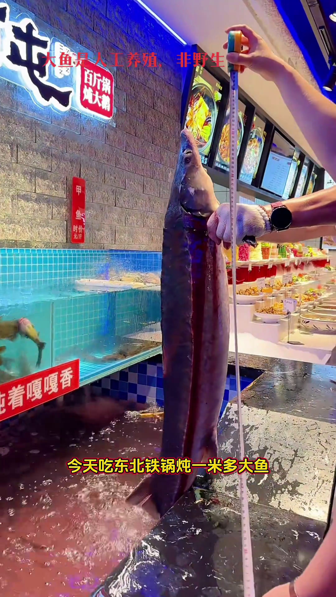 天冷了,铁锅炖搞起来!海城同城美食铁锅炖