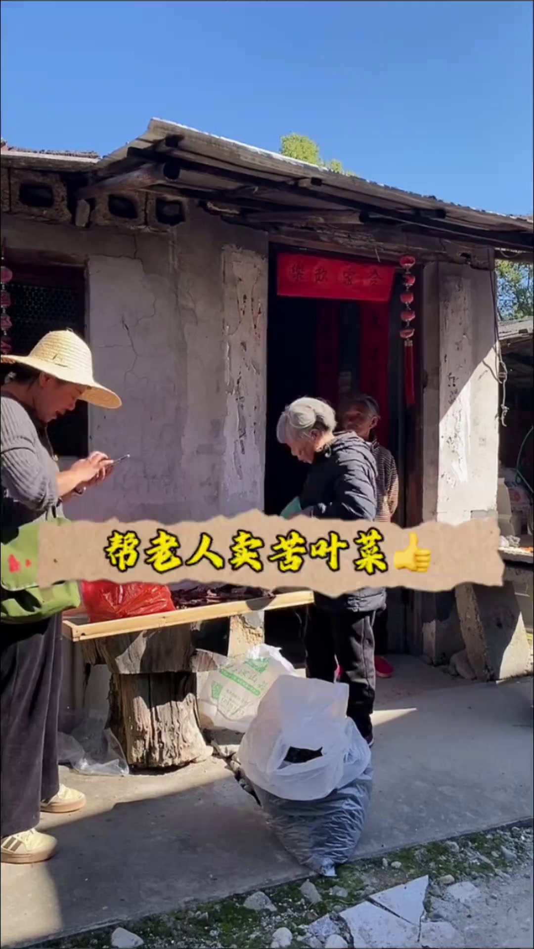 下乡帮老人卖苦叶菜