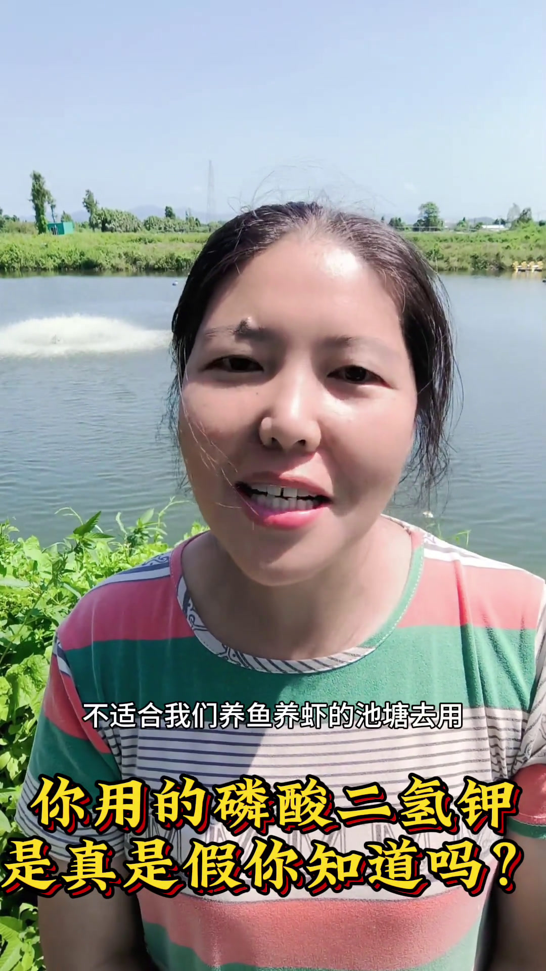 磷酸二氢钾 南美白对虾养殖技术,如何判断磷酸二氢钾的真假