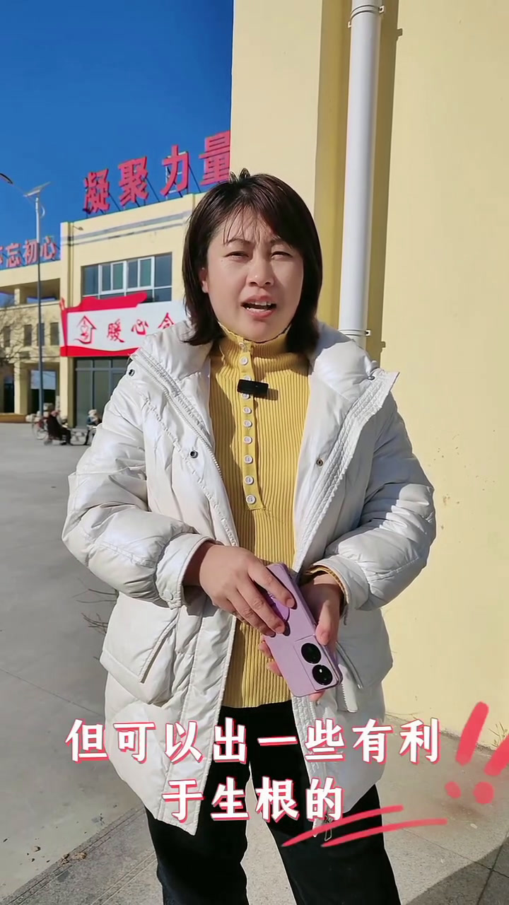 今天详细讲下芹菜用肥问题,记得……