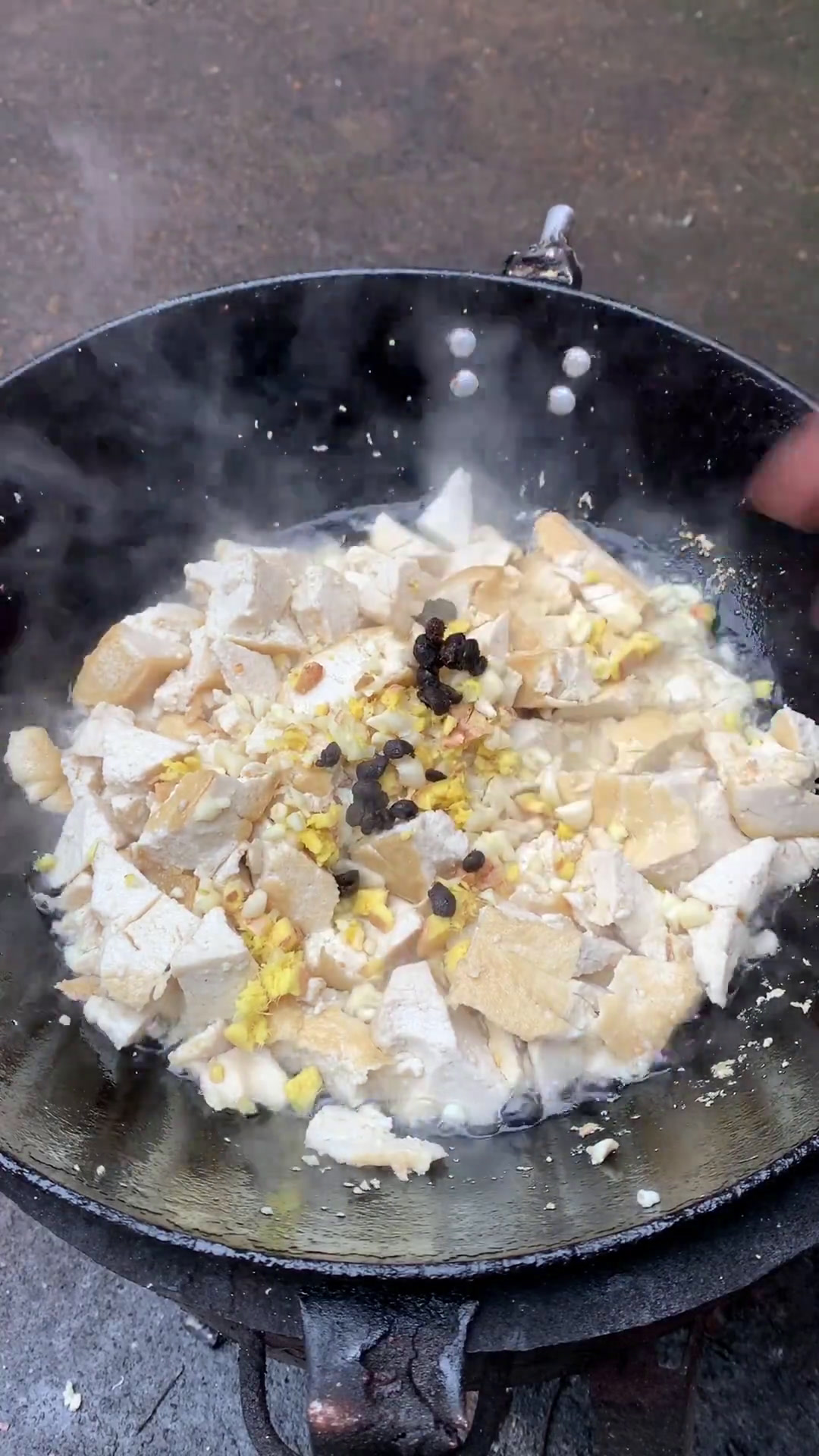 今天做一个红烧豆腐,再配上一点野葱真的太香了,还是小时候的味道我的乡村生活记录真实生活农村