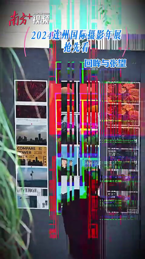 视频|2024连州国际摄影年展“鲜”睹为快