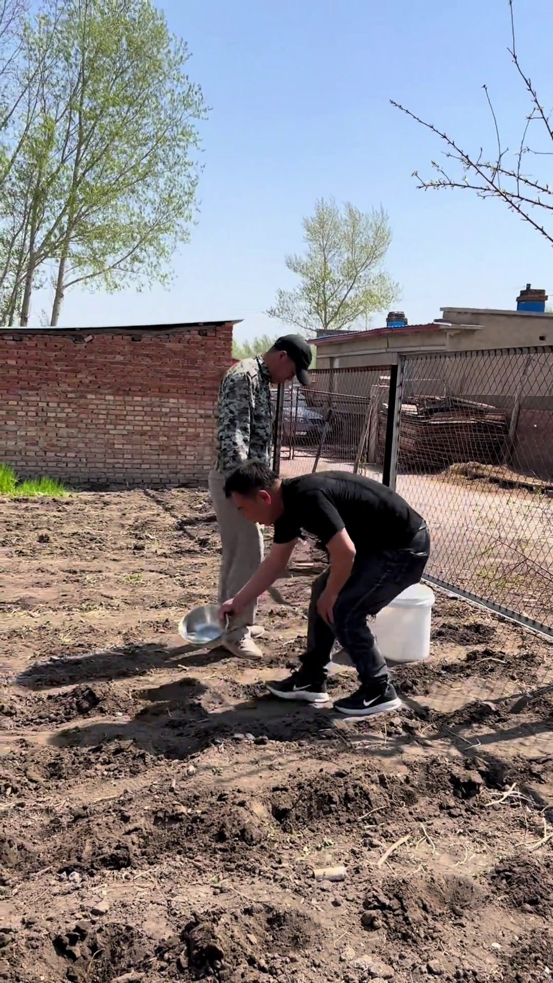 帮老爸种园子,铁锅鱼,肉段烧茄子东北农村生活农村美食记录真实生活