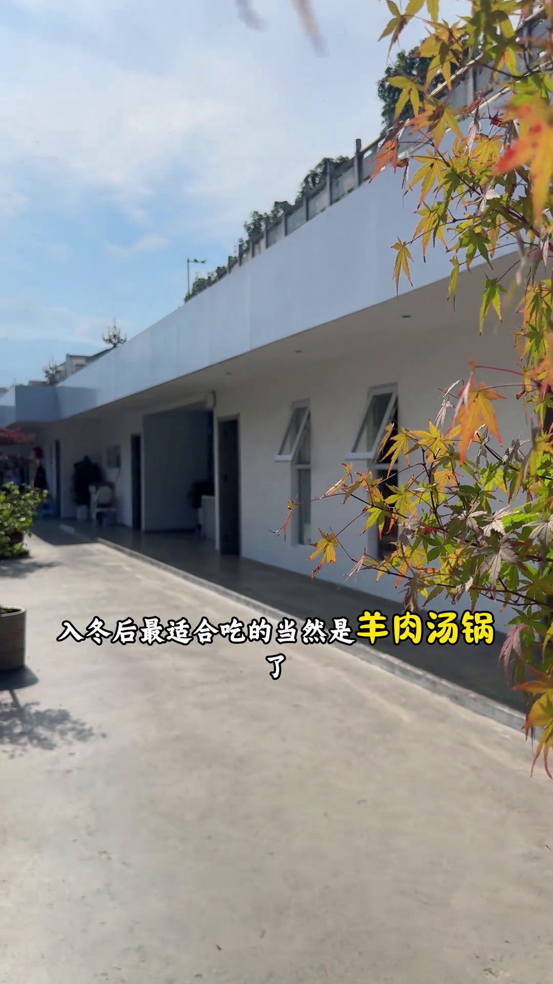 广告来宁强吃饭就来「鱼羊鲜」我和我的集美们宁强美食