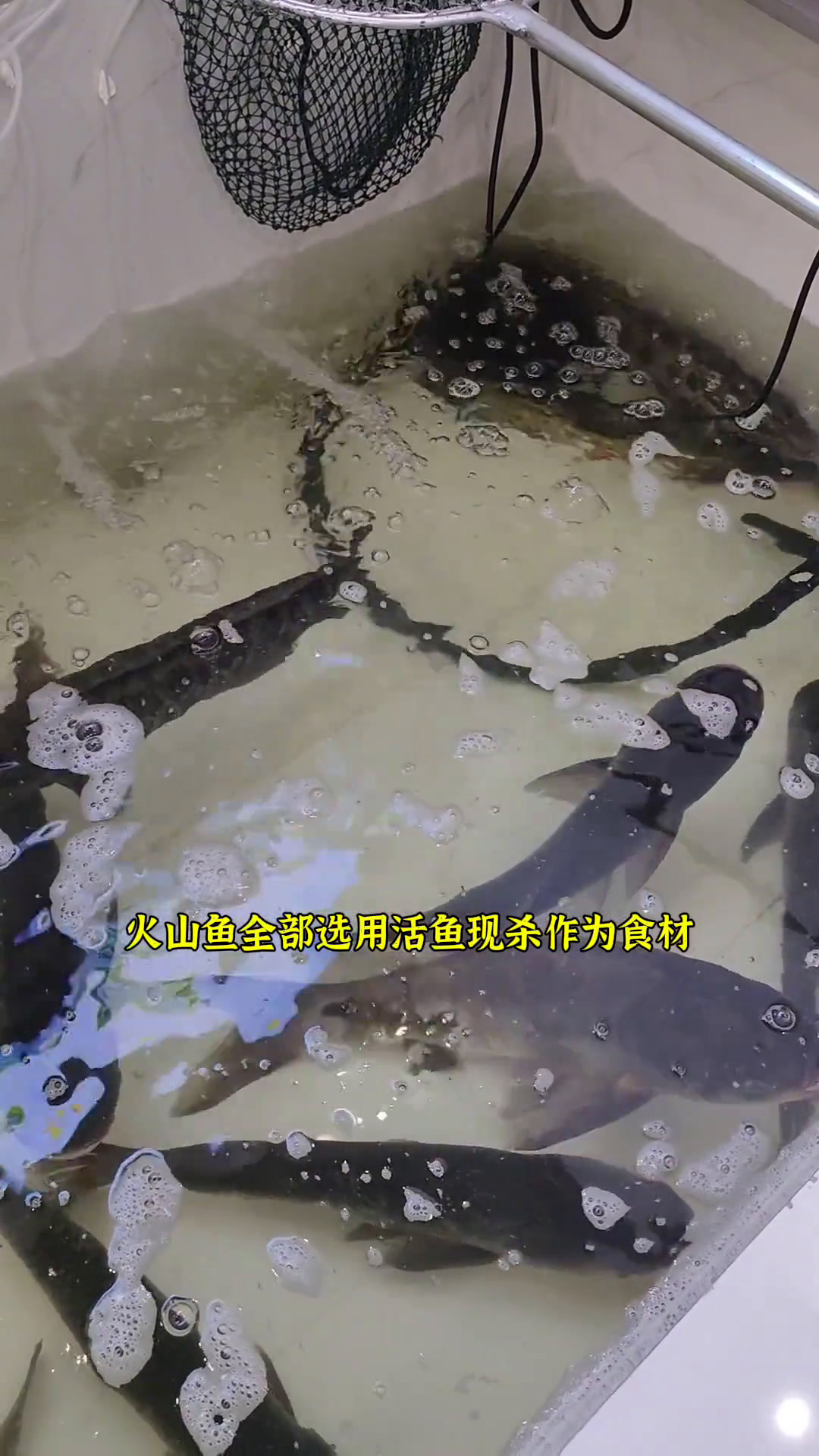 只怪火山鱼太好吃了,让我猝不及防!乡村苕哥萍哥乡村苕哥