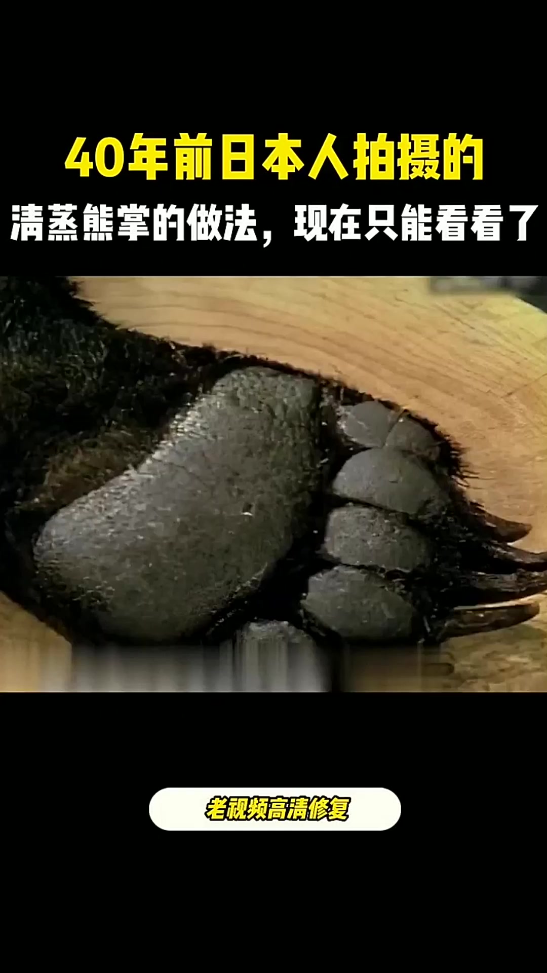 40年前日本人拍摄的清蒸熊掌,现在是保护动物,再也吃不到了