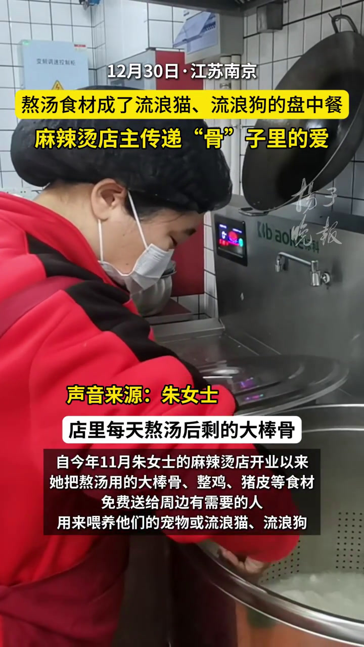 熬汤食材成了流浪猫、流浪狗的盘中餐,麻辣烫店主传递“骨”子里的爱