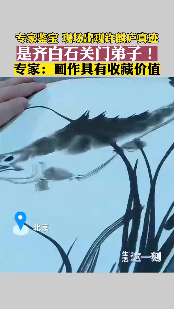 专家鉴宝现场出现许麟庐真迹 “是齐白石关门弟子”