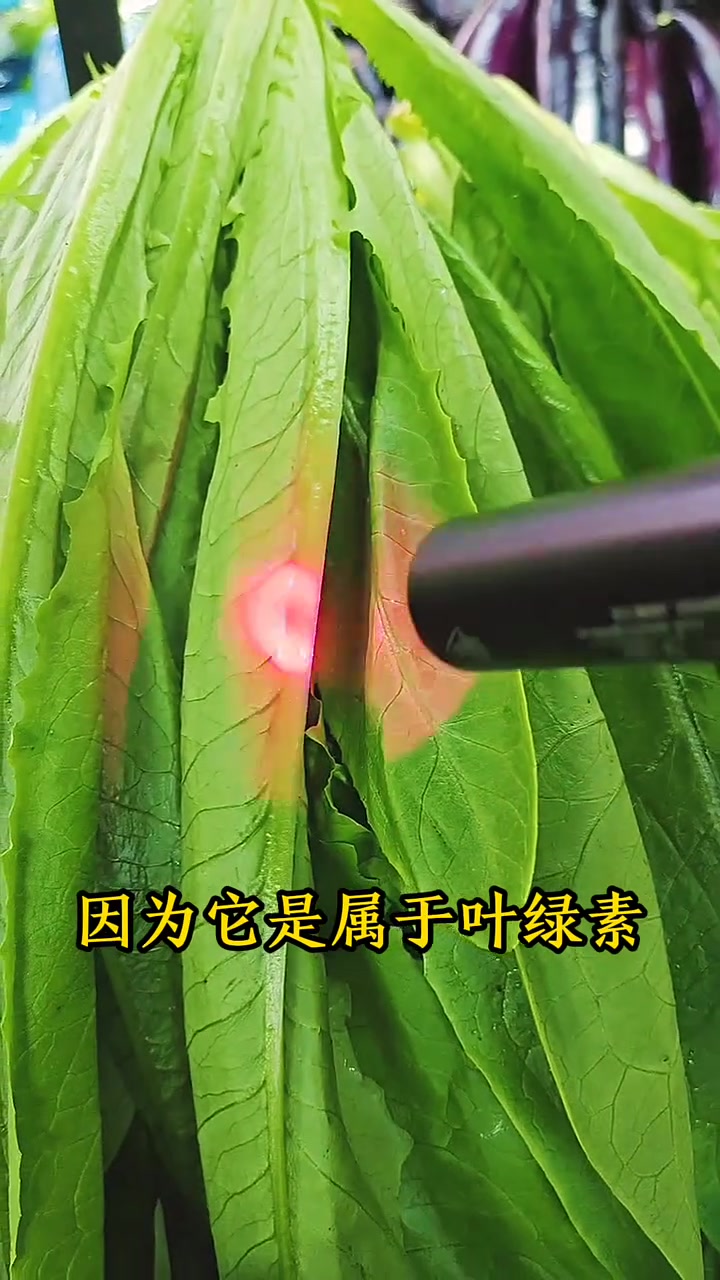 蔬菜检测紫光灯