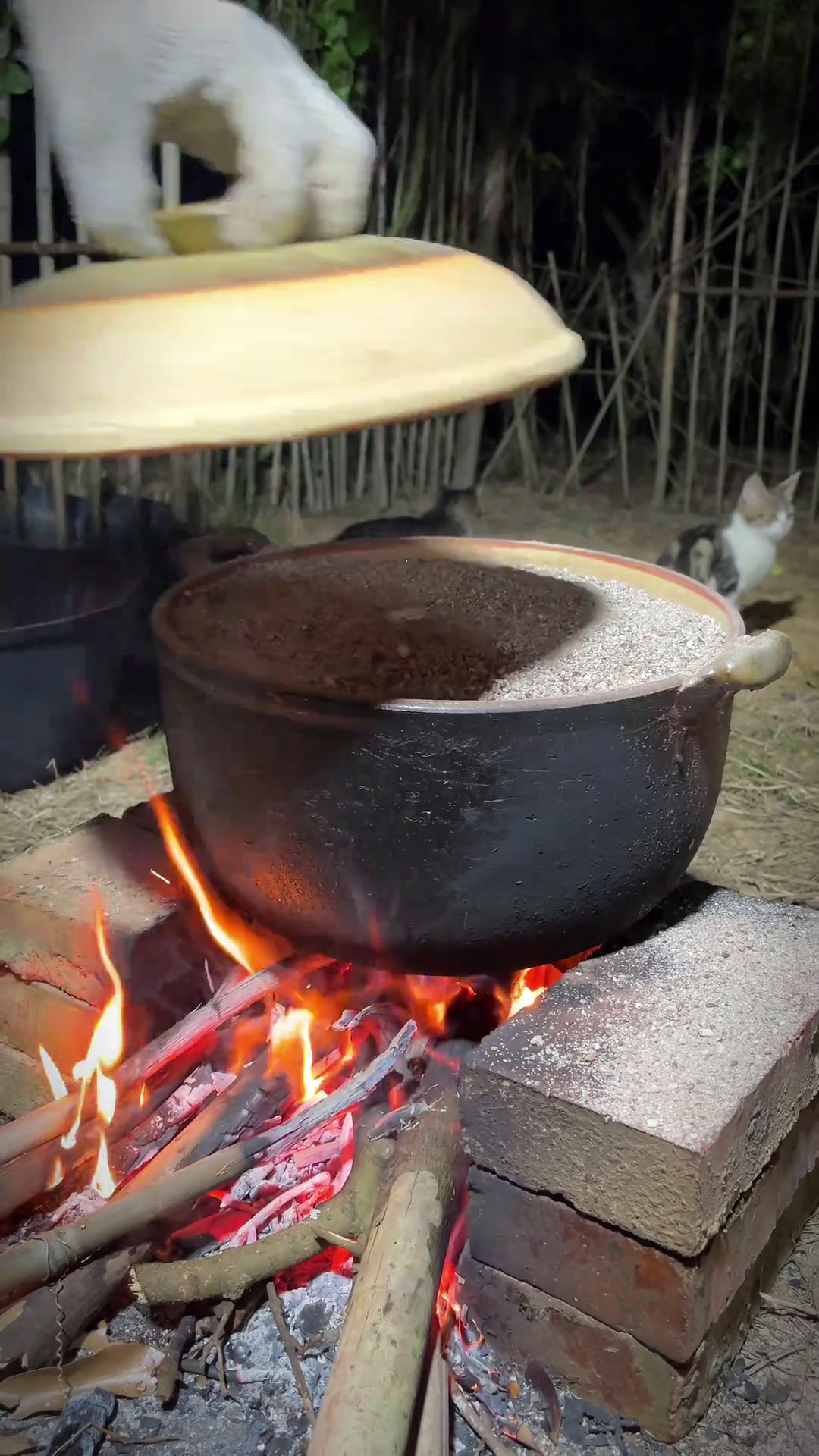 沙焗盐焗鸡,野外露营或者在家露一手这样的沙子焗鸡那太绝了,口感鲜嫩多汁好好食
