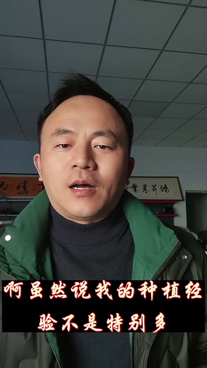 2025年,内心独白,让我们一起努力,把芹菜种好,把钱挣好