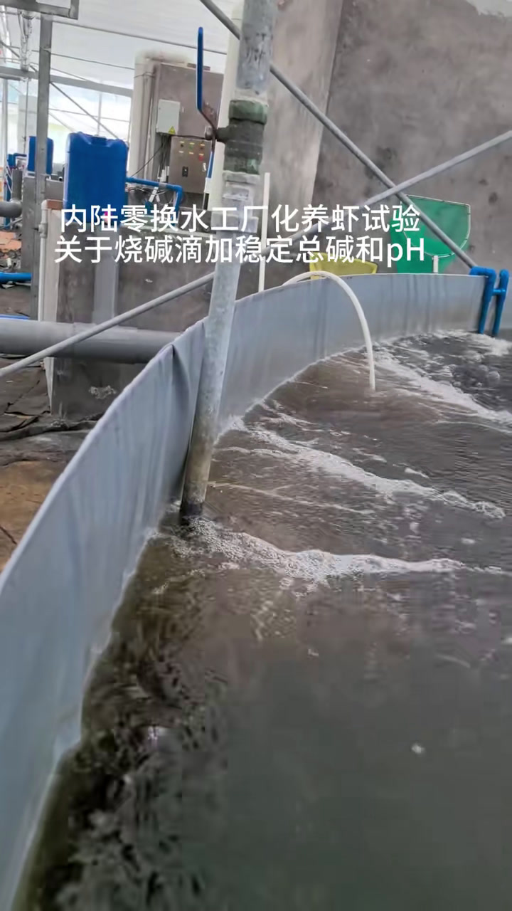 工厂化养虾pH和总碱度的维护和稳定