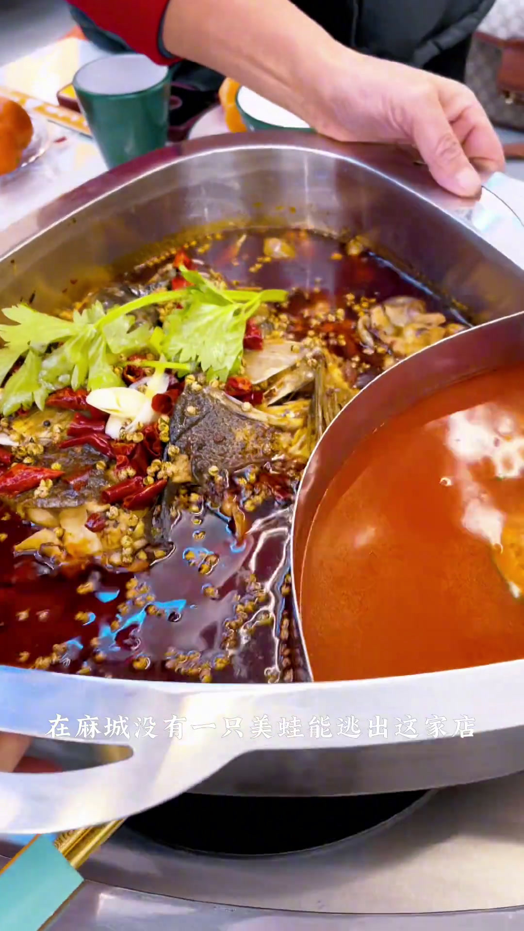 在韩林城这家店的美蛙肉质细嫩,又能吃到蛙又能吃到鱼头,反正就是过瘾!天儿冷吃点啥美蛙鱼火锅